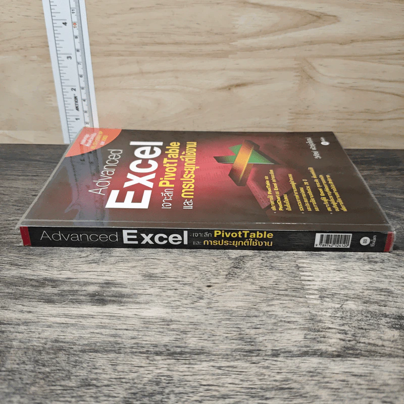Advanced Excel เจาะลึก PivotTable และ การประยุกต์ใช้งาน - วิศัลย์ พัวรุ่งโรจน์ รูปที่ 2