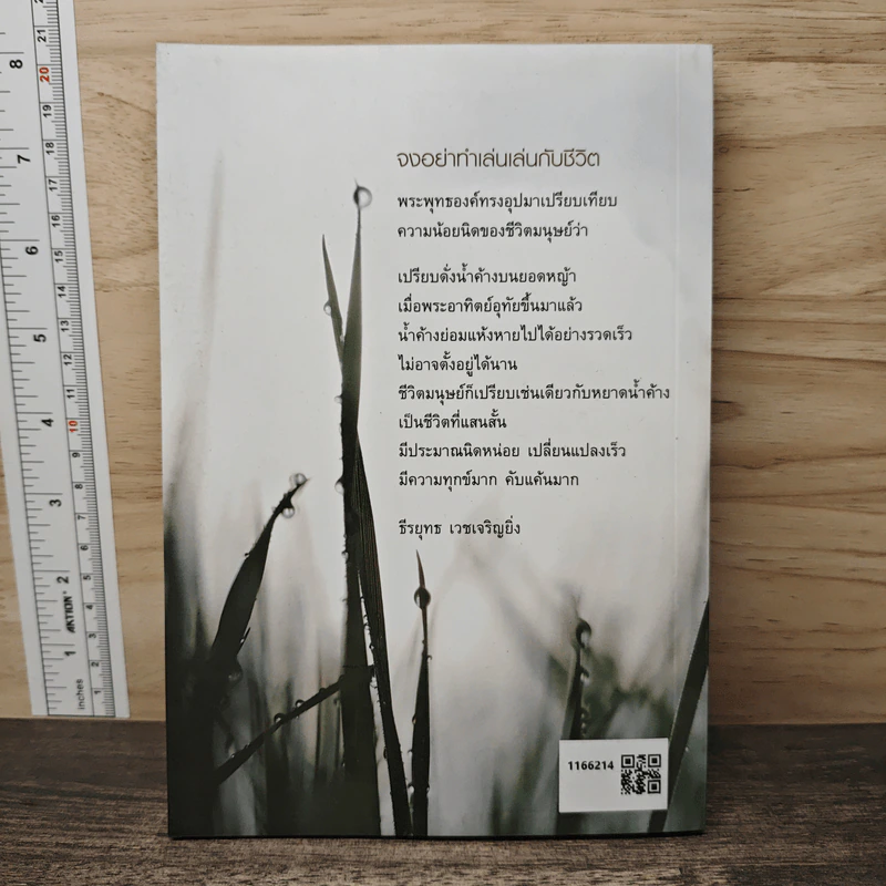 ชีวิตไม่ใช่ของเล่น จงอย่าทำเล่นเล่นกับชีวิต - ธีรยุทธ เวชเจริญยิ่ง รูปที่ 5
