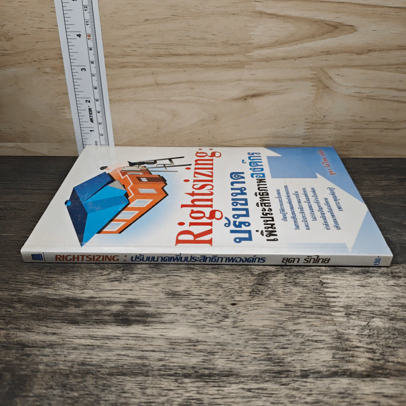 Rightsizing: ปรับขนาด เพิ่มประสิทธิภาพองค์กร - ยุตา รักไทย รูปที่ 2