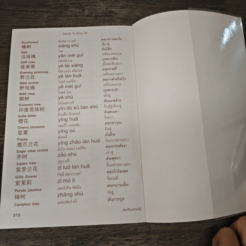 ศัพท์จีนกลางน่ารู้ใช้ในชีวิตประจำวัน รูปที่ 9