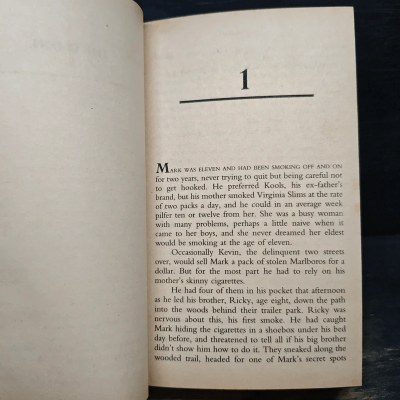 The Client - John Grisham รูปที่ 7