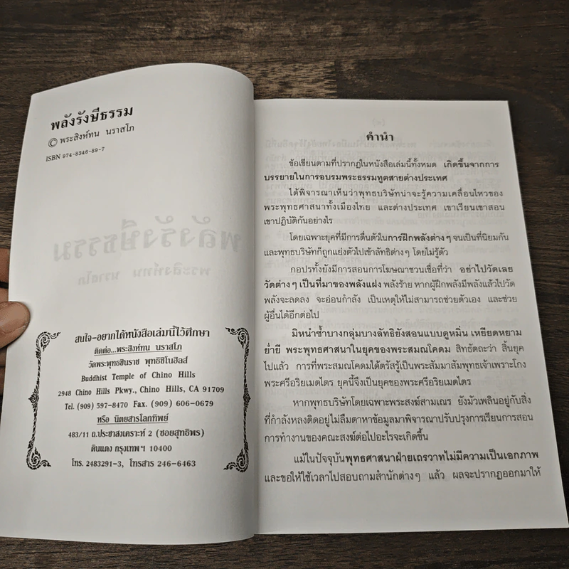 พลังรังษีธรรม - พระสิงห์ทน นราสโก รูปที่ 6