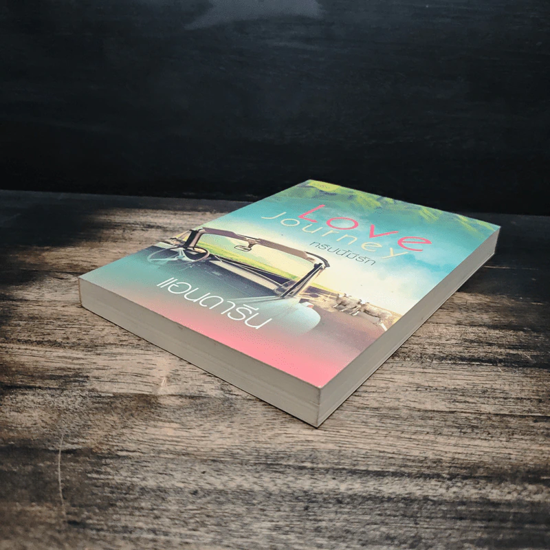 Love Journey ทริปนี้มีรัก - แอนดารีน รูปที่ 4