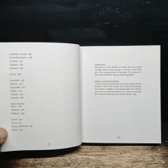 The Pocket Book of Stones - Robert Simmons รูปที่ 9