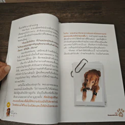 ผมชื่อคิงคองคร้าบ เล่ม 5 ตอน คิงคองแฟนคลับ - วัสชนะ พรหมประสิทธิ์ รูปที่ 9