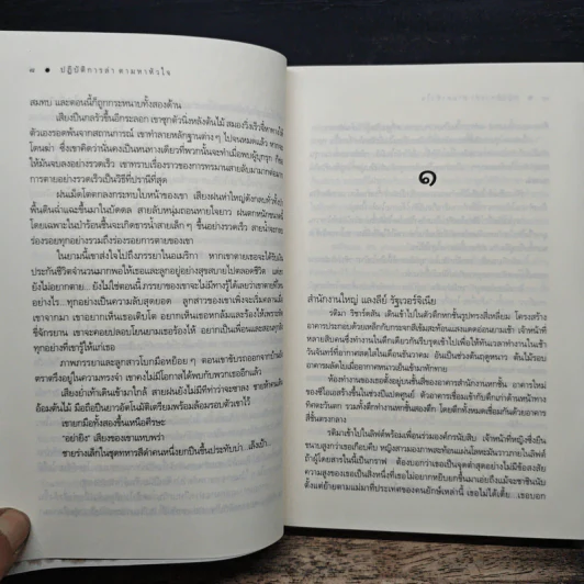 ปฏิบัติการล่าตามหาหัวใจ - ณารา รูปที่ 7