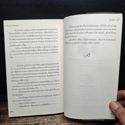 รักรสหวาน น้ำตาลเปรี้ยว - เวียงแก้ว รูปที่ 8
