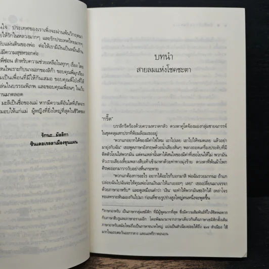 บันทึกรักสุดผืนทราย - มัลลิกา รูปที่ 7