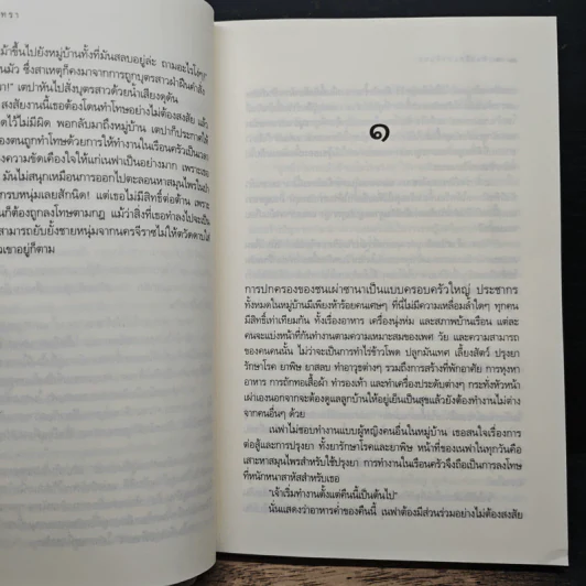เพลงรักแห่งจันทรา - ดาราพิณ รูปที่ 8