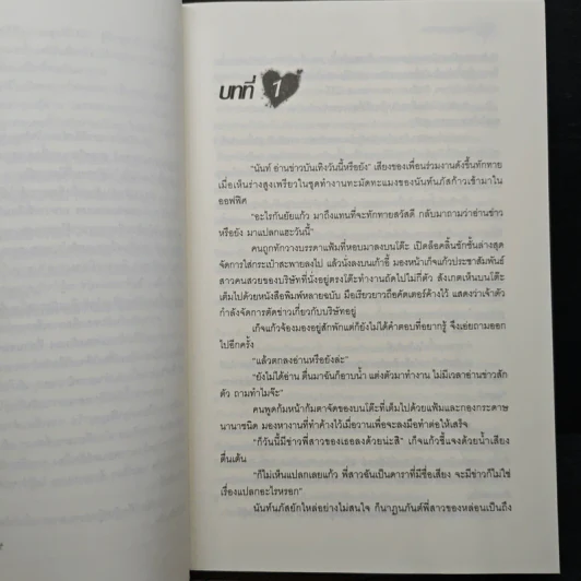 เหตุร้ายอุบัติรัก - ปุณณัตถ์ รูปที่ 7