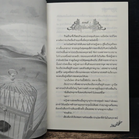 ทรายซ่อนแค้น - ประวาชิณี รูปที่ 7