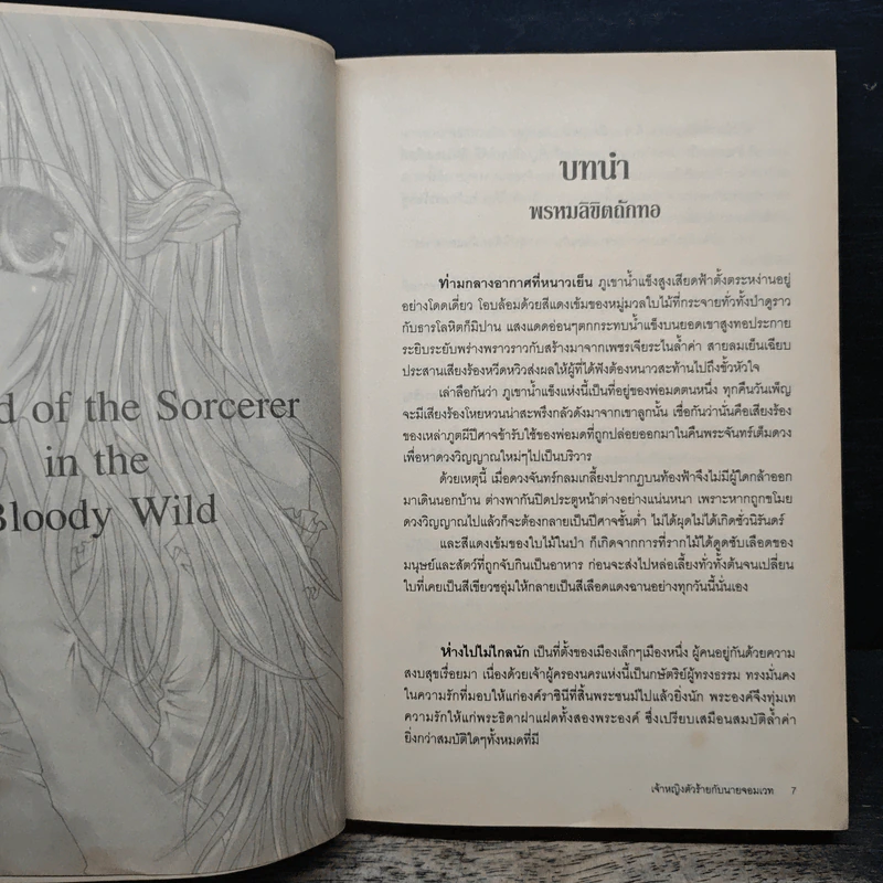 เจ้าหญิงตัวร้ายกับนายจอมเวท - Sirena รูปที่ 7