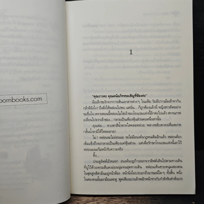 The Love Partner - ปิงปิง รูปที่ 7