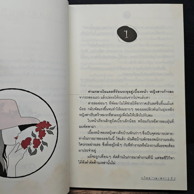 ดุจแสงตะวัน - เม ดา รูปที่ 7