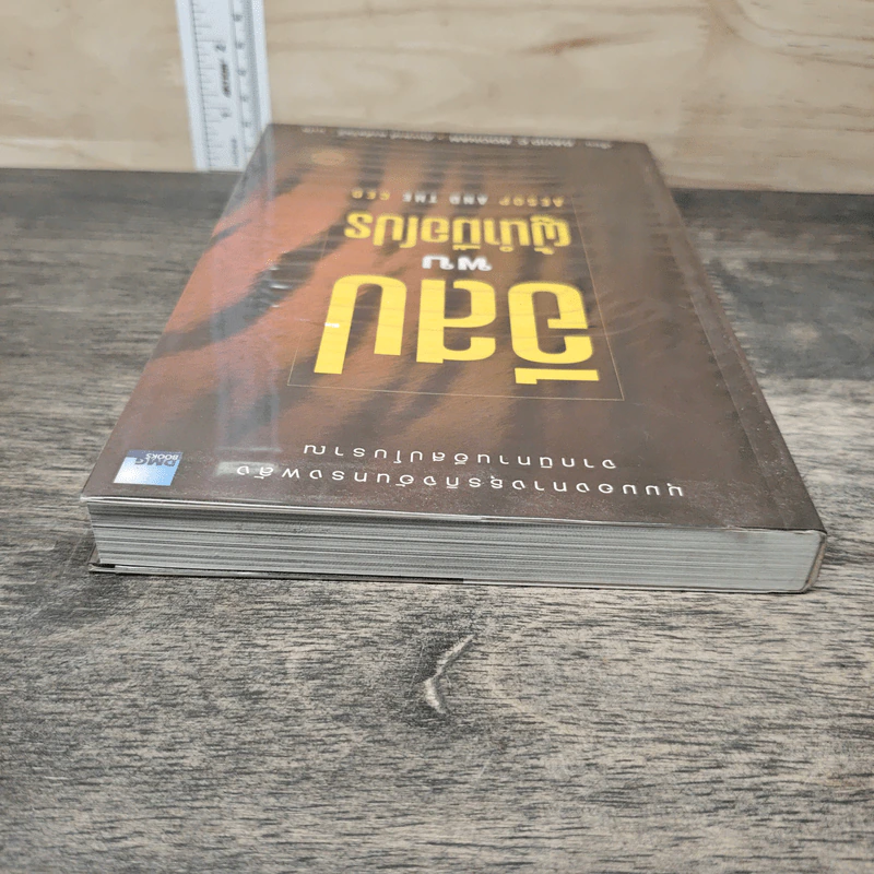 อีสปพบผู้นำมือโปร - David C. Noonan, ภัทรพงศ์ พงศ์สวัสดิ์ รูปที่ 4