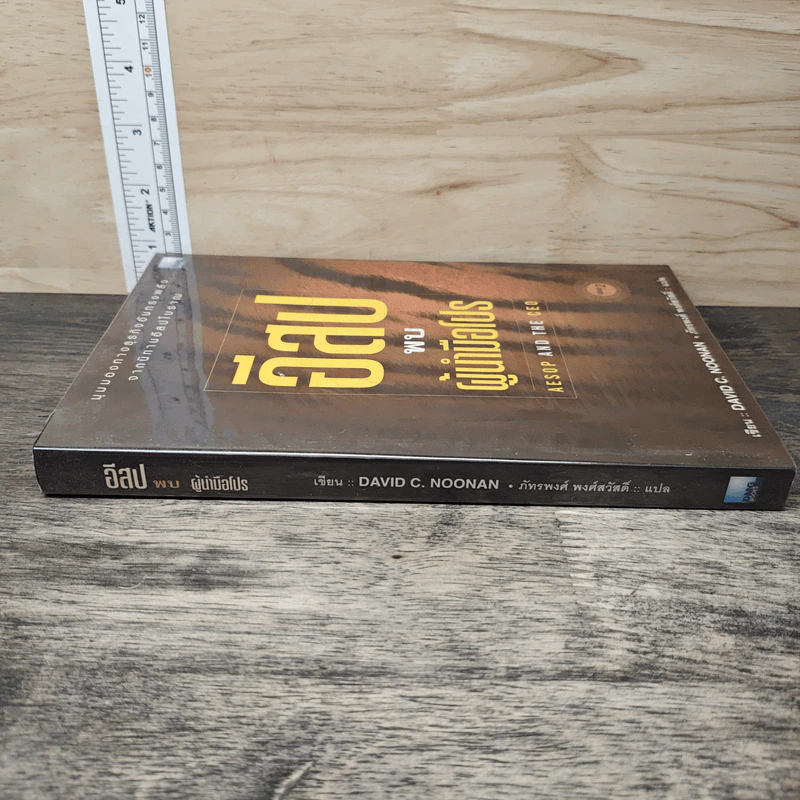 อีสปพบผู้นำมือโปร - David C. Noonan, ภัทรพงศ์ พงศ์สวัสดิ์ รูปที่ 2