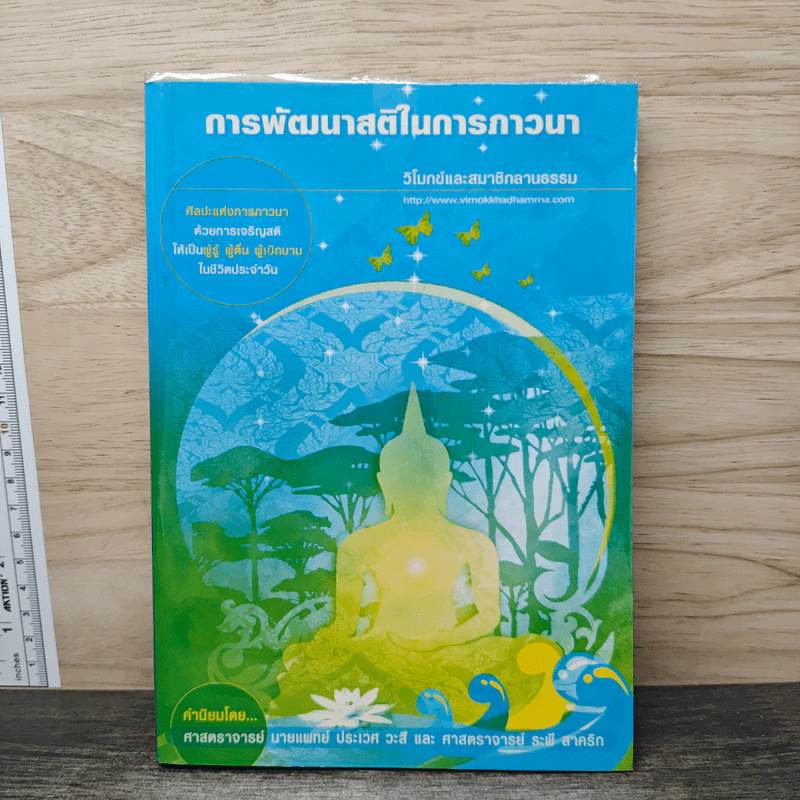 การพัฒนาสติในการภาวนา - นายแพทย์ประเวศ วะสี รูปที่ 1