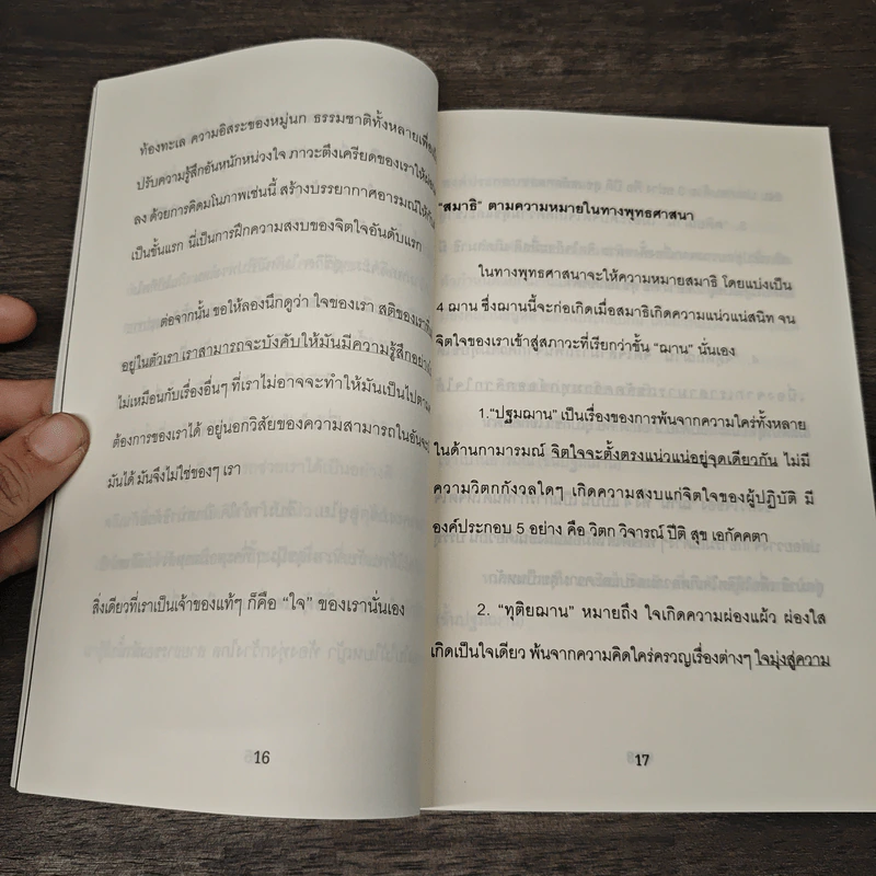 หลักการฝึกสมาธิค้นพบสิ่งมหัศจรรย์แห่งชีวิต บำบัดกรรม - ครูอารียา ธวัชไชยโชค รูปที่ 9