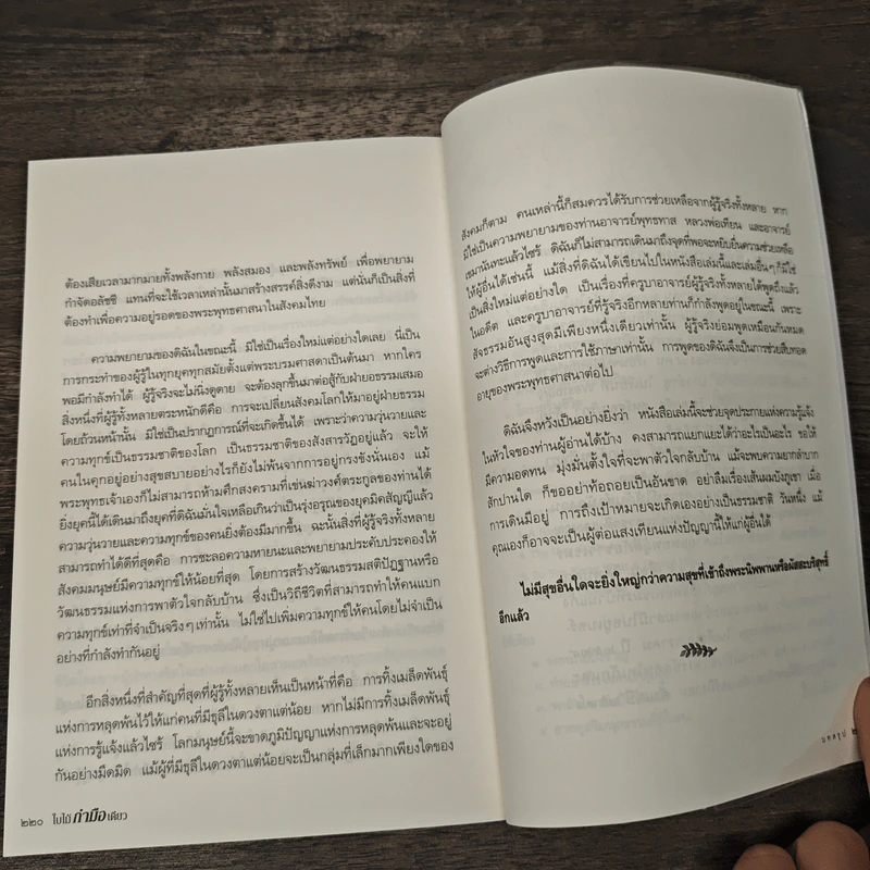 ใบไม้กำมือเดียว (รู้เท่านี้ ก็พอแล้ว) - ศุภวรรณ พิพัฒพรรณวงศ์ กรีน รูปที่ 10