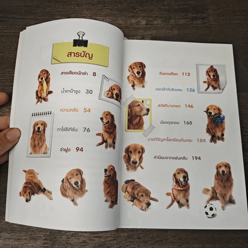ผมชื่อคิงคองคร้าบ เล่ม 5 ตอน คิงคองแฟนคลับ - วัสชนะ พรหมประสิทธิ์ รูปที่ 8