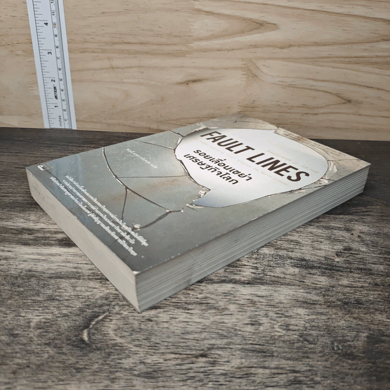 รอยเลื่อนเขย่าเศรษฐกิจโลก Fault Lines - Raghuram G. Rajan (ราจัน รากุราม) รูปที่ 3