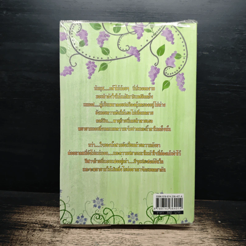 ตำนานอาณาจักรมนตรา ความทรงจำของบุปผา พนา และพายุ 2 - อนิธิน รูปที่ 2