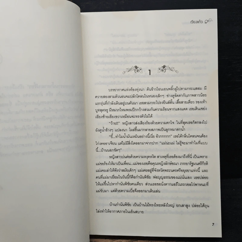 รักรสหวาน น้ำตาลเปรี้ยว - เวียงแก้ว รูปที่ 7