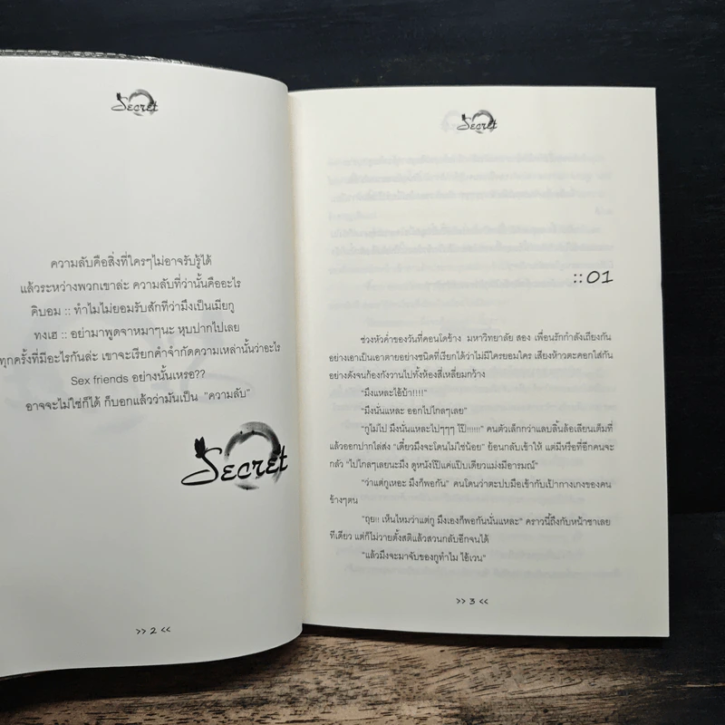 Secret - AikoL รูปที่ 6