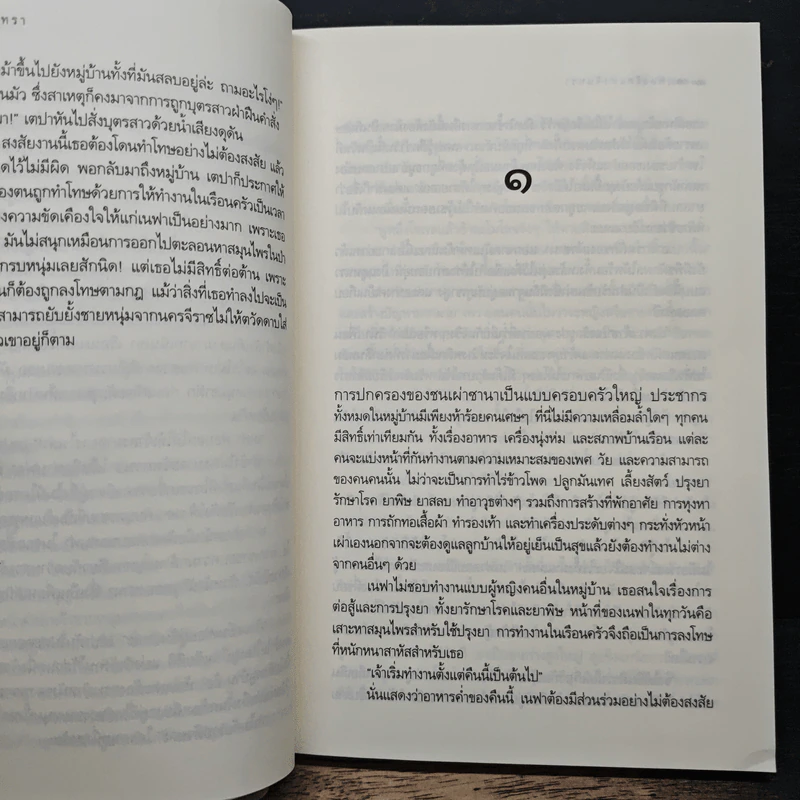 เพลงรักแห่งจันทรา - ดาราพิณ รูปที่ 8