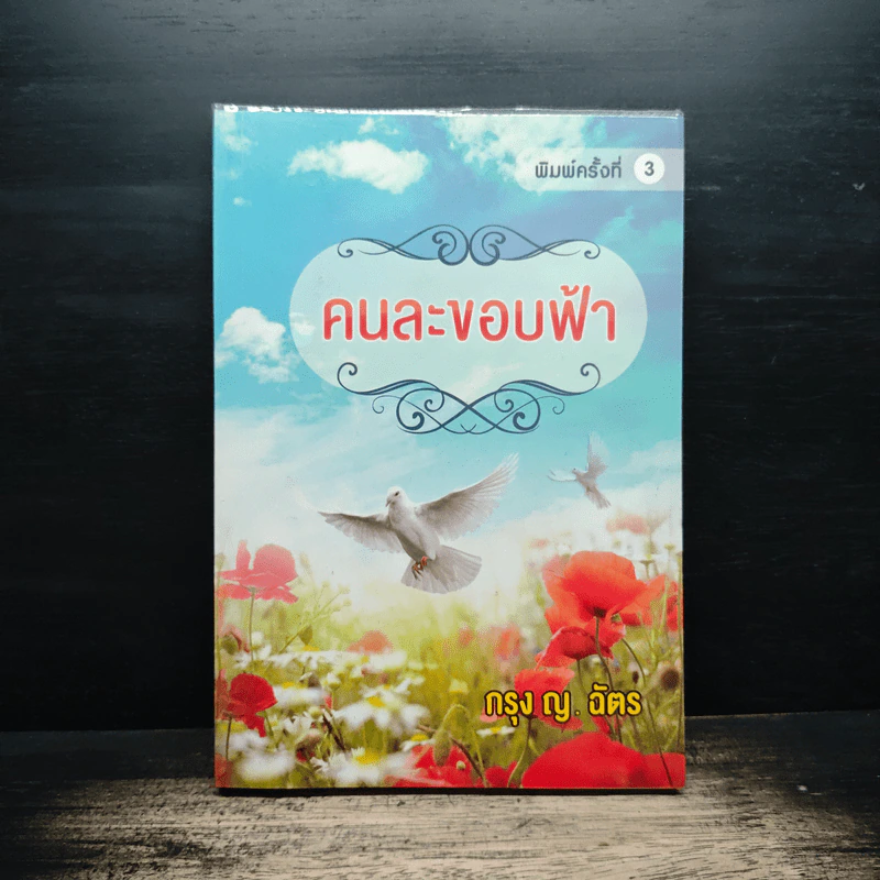 คนละขอบฟ้า - กรุง ญ. ฉัตร รูปที่ 1