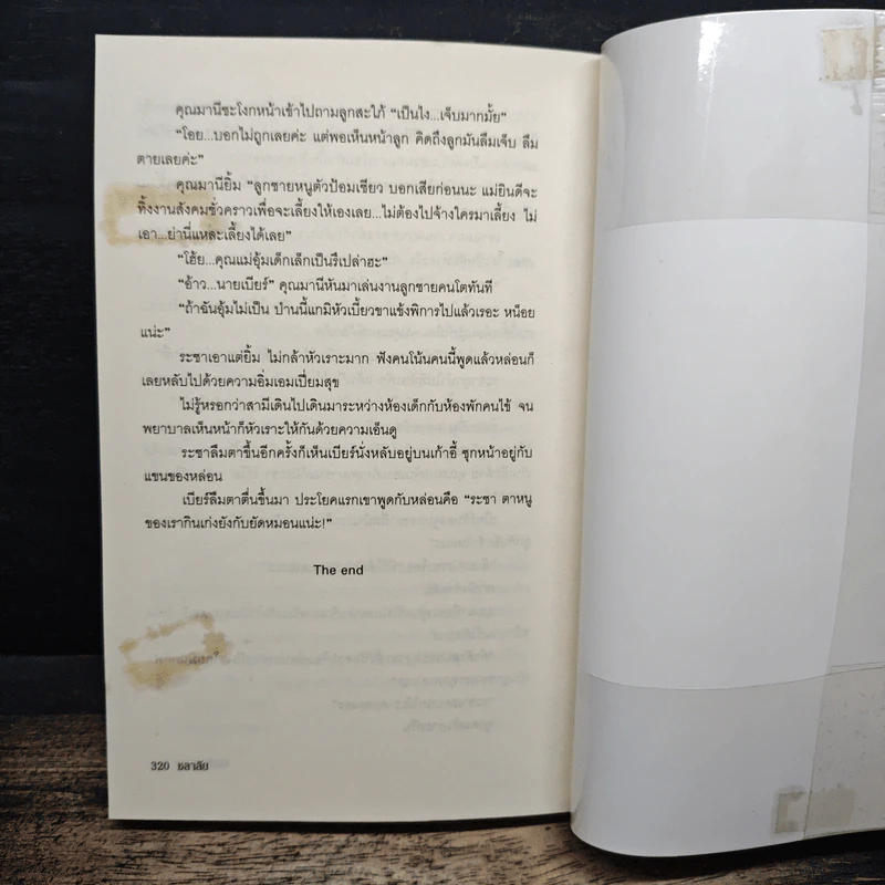 เมียข้างถนน - ชลาลัย รูปที่ 8