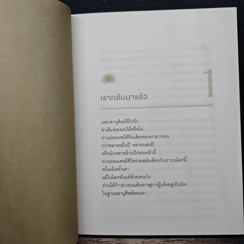 พระพุทธองค์กลับมาแล้ว - ริวโฮ โอคาวา รูปที่ 8