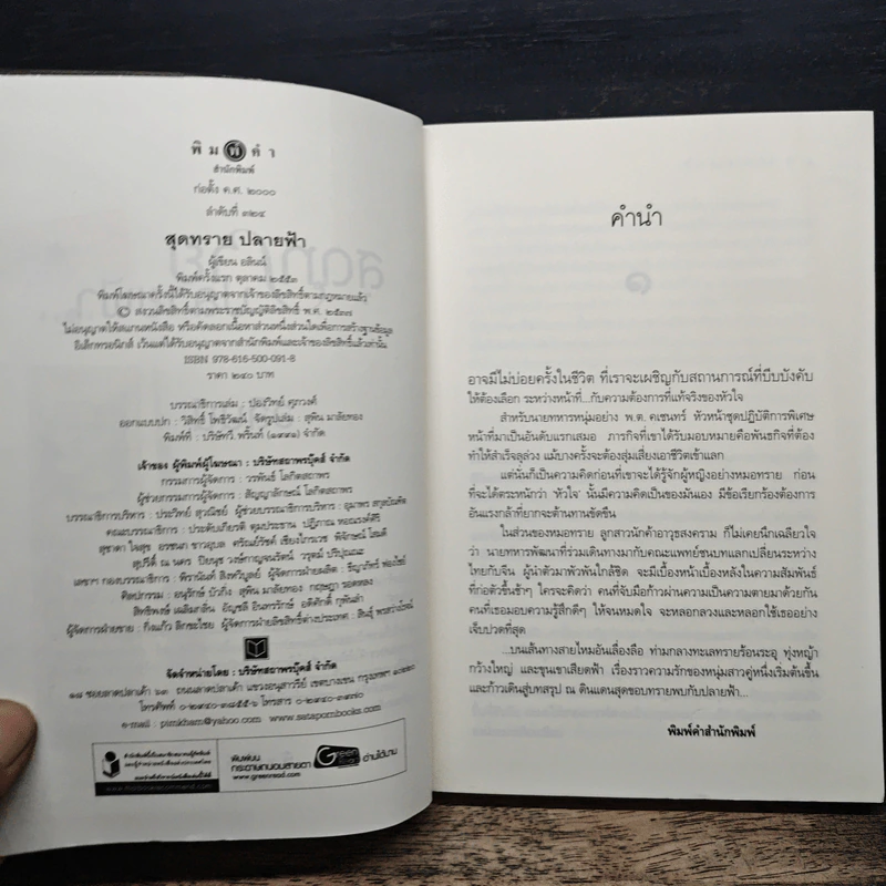 สุดทรายปลายฟ้า - อลินน์ รูปที่ 6