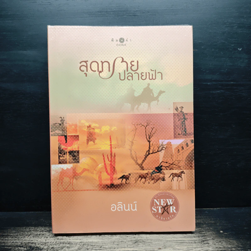 สุดทรายปลายฟ้า - อลินน์ รูปที่ 1