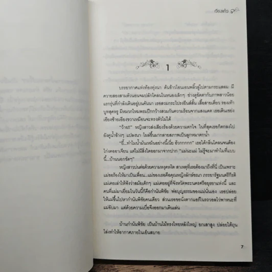 รักรสหวานน้ำตาลเปรี้ยว - เวียงแก้ว รูปที่ 7