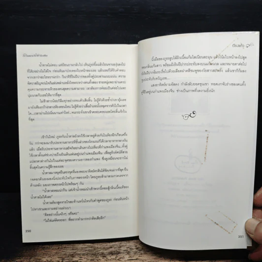 รักรสหวานน้ำตาลเปรี้ยว - เวียงแก้ว รูปที่ 8