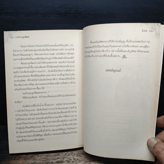 เล่ห์รักฤดูร้อน - ไอริส รูปที่ 8