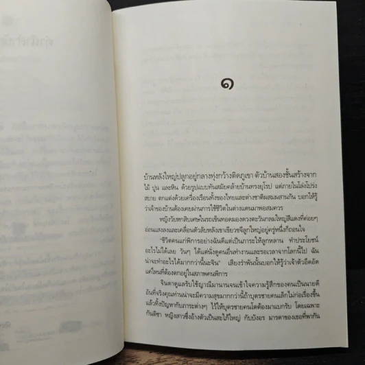 ลิขิตแฝดต่างภพ - เพลงใบไม้ รูปที่ 7