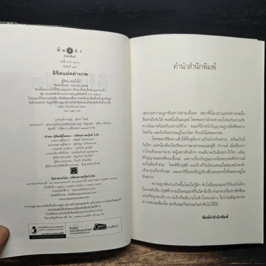 ลิขิตแฝดต่างภพ - เพลงใบไม้ รูปที่ 6