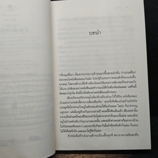 ระบำเงา - กุลธิดา รูปที่ 7