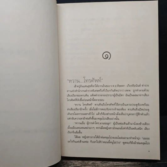 พยัคฆ์ร้ายหวานใจ - ตันหยง รูปที่ 7