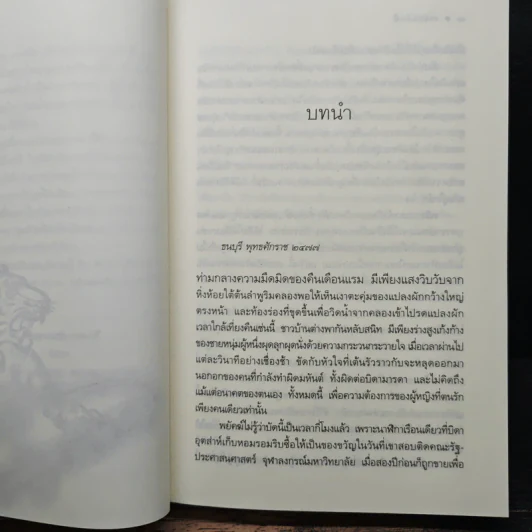 ชุด เลือดทระนง เพลิงพยัคฆ์ - ณารา รูปที่ 7