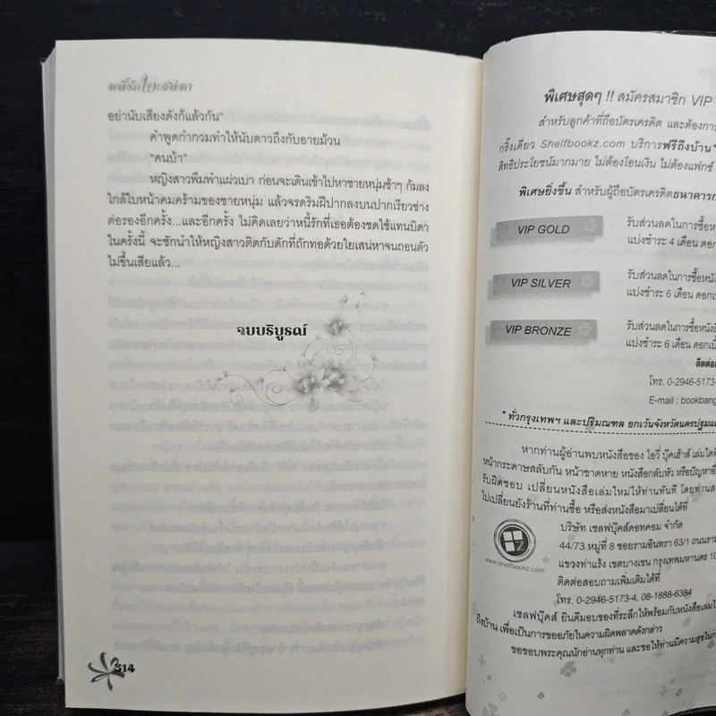หนี้รักใยเสน่หา - ปานไพลิน รูปที่ 8