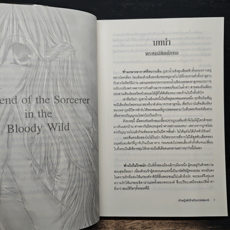 เจ้าหญิงตัวร้ายกับนายจอมเวท - Sirend รูปที่ 7