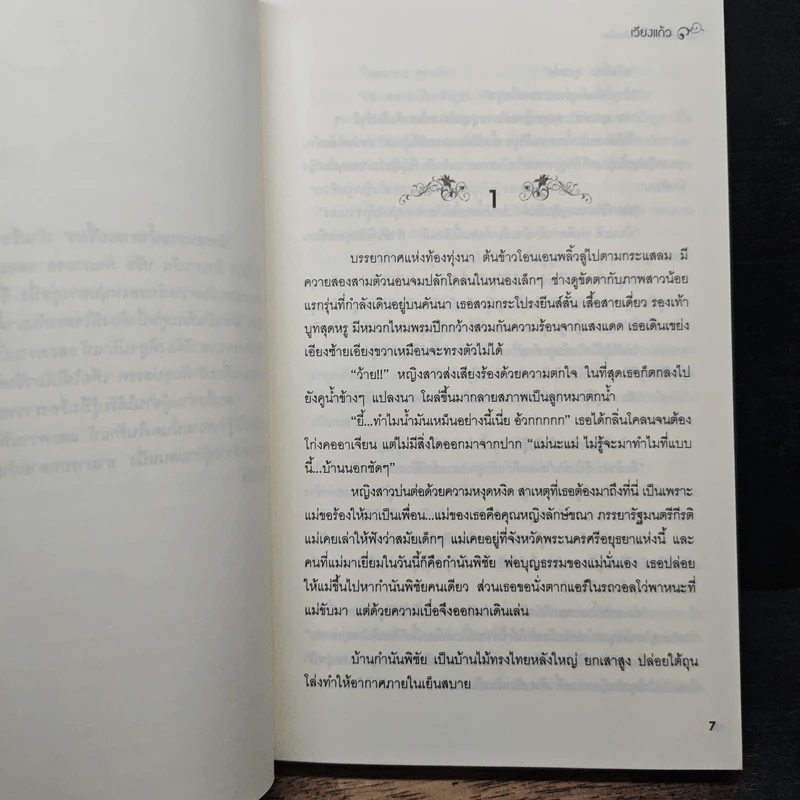 รักรสหวานน้ำตาลเปรี้ยว - เวียงแก้ว รูปที่ 7