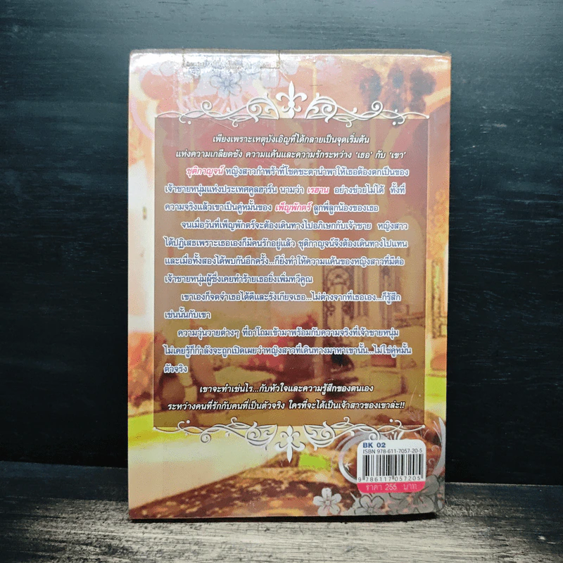 เจ้าสาวกลางทะเลทราย - ชุติมันต์ รูปที่ 2