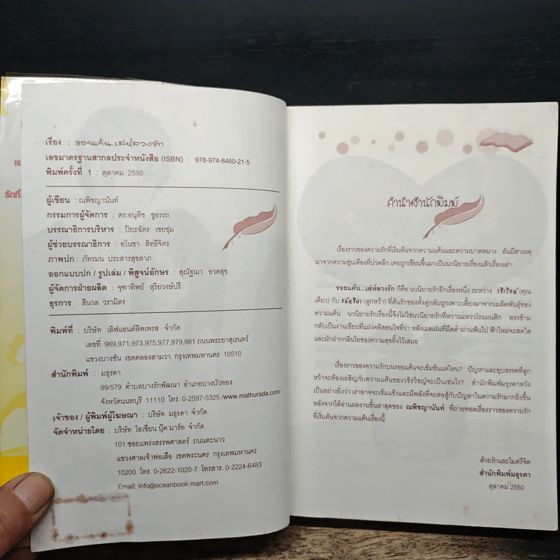 รอยแค้น เล่ห์ลวงรัก - ณพิชญานันท์ รูปที่ 6