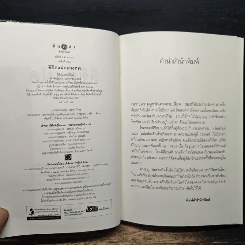 ลิขิตแฝดต่างภพ - เพลงใบไม้ รูปที่ 6