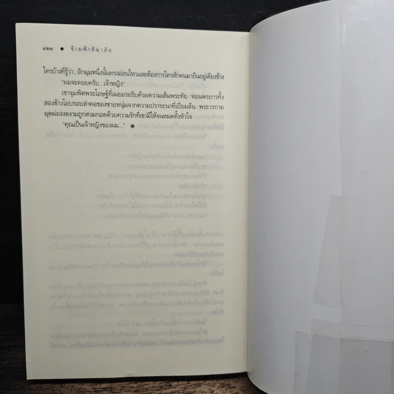 ข้ามฟ้าหิมาลัย - พิมพิสุธญ์ รูปที่ 8