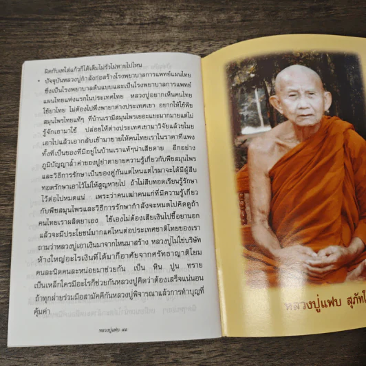ตามรอยพระพุทธองค์ ชีวประวัติและธรรมเทศนา ของหลวงปู่แฟบ สุภัทโท รูปที่ 9